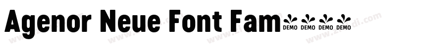 Agenor Neue Font Fam字体转换